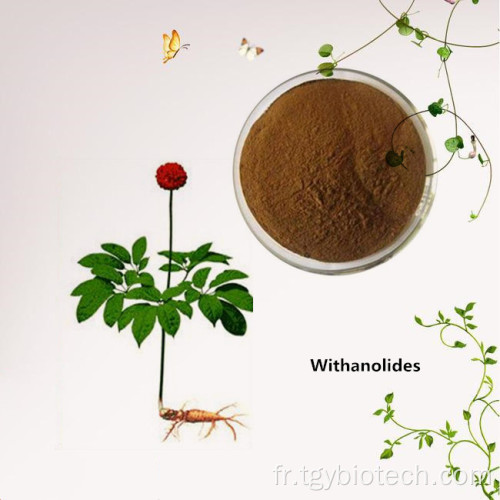 Extrait de racine Ashwagandha organique Withanolides 1% -5%